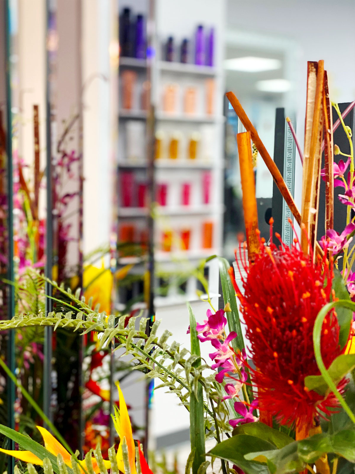 Julia’s Salon & Company - Darien Ct